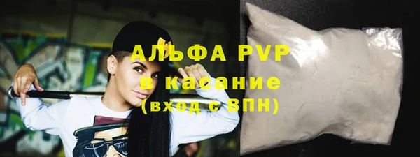 прущие грибы Аркадак