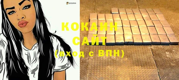 соль ск Алзамай