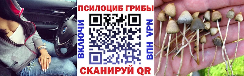 даркнет сайт  Куса  Псилоцибиновые грибы GOLDEN TEACHER 